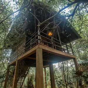 מלון On The Tree Eco Sigiriya Kibissa